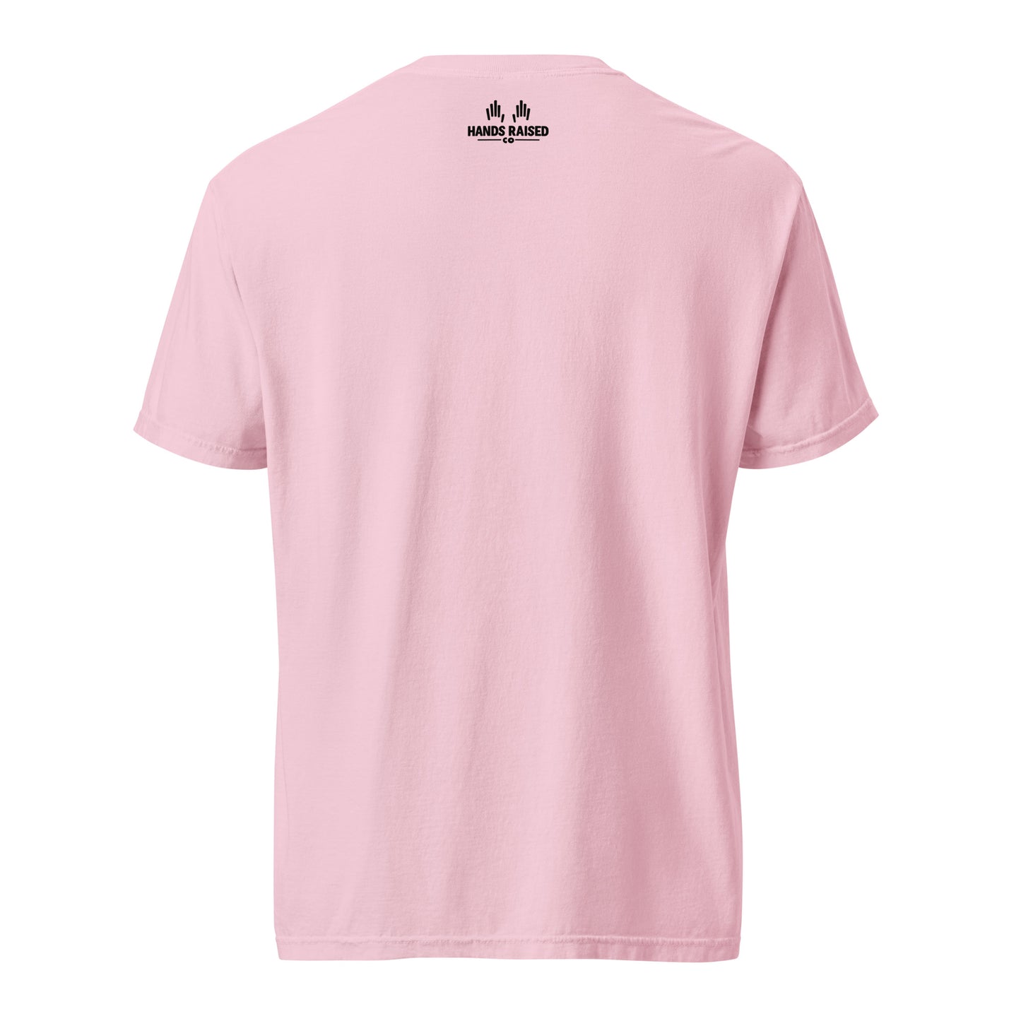 Free Indeed ASL T-Shirt | John 8:36 Classic Light Colors